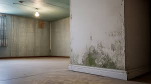 Damp and mould on a residential wall — the kind of issue Resolve helps housing providers identify, track, and remediate